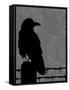 Raven-Joanne Paynter Design-Framed Stretched Canvas