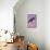 Raven-Harro Maass-Mounted Giclee Print displayed on a wall