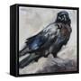 Raven-Renee Gould-Framed Stretched Canvas