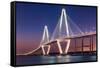 Ravenel Bridge-Steven Maxx-Framed Stretched Canvas