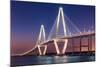 Ravenel Bridge-Steven Maxx-Mounted Photographic Print