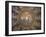 Ravenna, Emilia Romagna, Italy, Europe-Richard Ashworth-Framed Photographic Print