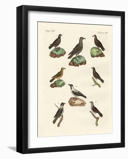 Ravens, Crows and Daws-null-Framed Giclee Print