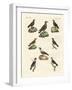 Ravens, Crows and Daws-null-Framed Giclee Print