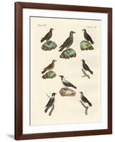 Ravens, Crows and Daws-null-Framed Giclee Print