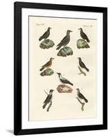 Ravens, Crows and Daws-null-Framed Giclee Print