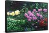 Ravens' Garden-Bruce Dumas-Framed Stretched Canvas