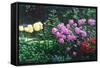 Ravens' Garden-Bruce Dumas-Framed Stretched Canvas