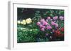 Ravens' Garden-Bruce Dumas-Framed Giclee Print