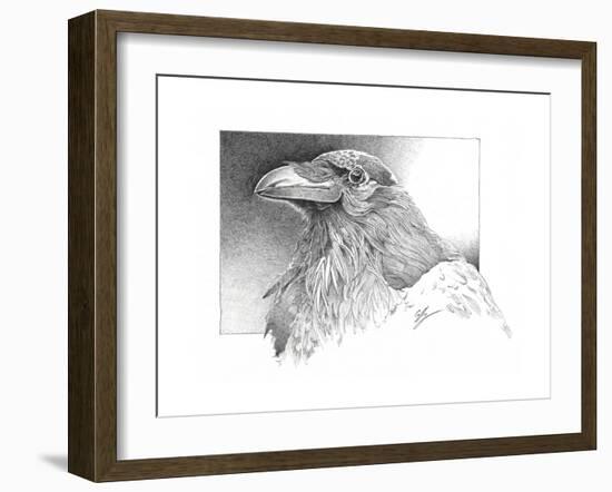 Ravens Head-Durwood Coffey-Framed Giclee Print