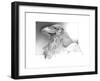 Ravens Head-Durwood Coffey-Framed Giclee Print