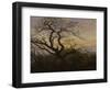 Ravens in a Tree (Bare Tree at the Coast of Ruegen, Or: Rookery on the Island Ruegen), about 1822-Caspar David Friedrich-Framed Giclee Print