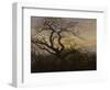 Ravens in a Tree (Bare Tree at the Coast of Ruegen, Or: Rookery on the Island Ruegen), about 1822-Caspar David Friedrich-Framed Giclee Print