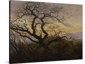 Ravens in a Tree (Bare Tree at the Coast of Ruegen, Or: Rookery on the Island Ruegen), about 1822-Caspar David Friedrich-Stretched Canvas