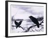 Ravens in Winter (Colour Litho)-Harry Bright-Framed Giclee Print