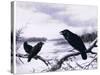 Ravens in Winter (Colour Litho)-Harry Bright-Stretched Canvas