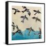 Ravens Rising-Kellie Day-Framed Stretched Canvas