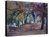 Ravenscourt Park, London-Sophia Elliot-Stretched Canvas