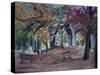 Ravenscourt Park, London-Sophia Elliot-Stretched Canvas