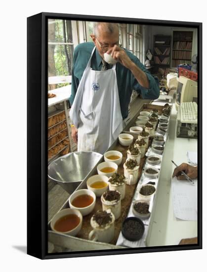 Ravi Kidwai, Tea Specialist, Tasting and Assessing Tea, Kolkata-Eitan Simanor-Framed Stretched Canvas