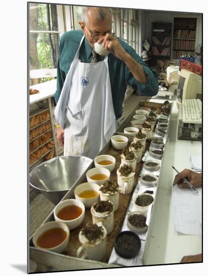 Ravi Kidwai, Tea Specialist, Tasting and Assessing Tea, Kolkata-Eitan Simanor-Mounted Photographic Print