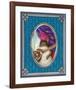 Ravi The Squirrel-Gina Matarazzo-Framed Art Print