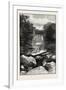 Ravine Near Whirlpool, Canada, Nineteenth Century-null-Framed Giclee Print