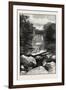 Ravine Near Whirlpool, Canada, Nineteenth Century-null-Framed Giclee Print