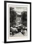 Ravine Near Whirlpool, Canada, Nineteenth Century-null-Framed Giclee Print