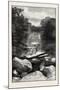 Ravine Near Whirlpool, Canada, Nineteenth Century-null-Mounted Giclee Print