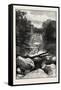 Ravine Near Whirlpool, Canada, Nineteenth Century-null-Framed Stretched Canvas