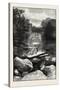 Ravine Near Whirlpool, Canada, Nineteenth Century-null-Stretched Canvas