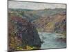 Ravines of the Creuse at the End of the Day, 1889-Claude Monet-Mounted Giclee Print