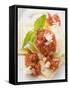 Ravioli with Tomato Sauce-null-Framed Stretched Canvas