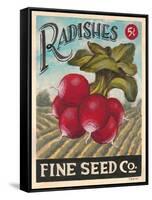 Ravishing Radishes-K. Tobin-Framed Stretched Canvas