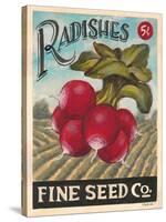 Ravishing Radishes-K. Tobin-Stretched Canvas