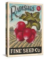 Ravishing Radishes-K. Tobin-Stretched Canvas