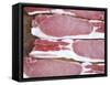 Raw Bacon-Tara Fisher-Framed Stretched Canvas