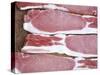 Raw Bacon-Tara Fisher-Stretched Canvas