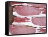 Raw Bacon-Tara Fisher-Framed Stretched Canvas