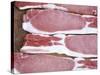 Raw Bacon-Tara Fisher-Stretched Canvas