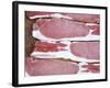 Raw Bacon-Tara Fisher-Framed Photographic Print