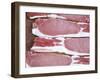 Raw Bacon-Tara Fisher-Framed Photographic Print