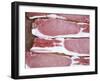 Raw Bacon-Tara Fisher-Framed Photographic Print