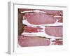 Raw Bacon-Tara Fisher-Framed Photographic Print