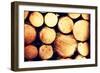 Raw De-Barked Pine Wood Logs in a Lumber Staging and Storage Yard-B-D-S-Framed Photographic Print
