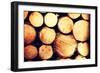 Raw De-Barked Pine Wood Logs in a Lumber Staging and Storage Yard-B-D-S-Framed Photographic Print