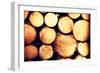 Raw De-Barked Pine Wood Logs in a Lumber Staging and Storage Yard-B-D-S-Framed Photographic Print