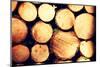 Raw De-Barked Pine Wood Logs in a Lumber Staging and Storage Yard-B-D-S-Mounted Photographic Print