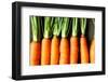 Raw Fresh Carrots with Tails, Top View-Olha Afanasieva-Framed Photographic Print